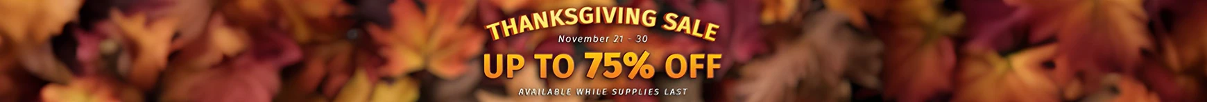 Thanksgiving Sale